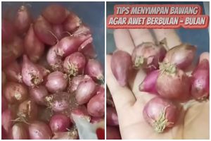 Cara sederhana menyimpan bawang merah agar tak cepat busuk, hanya butuh serbuk minuman