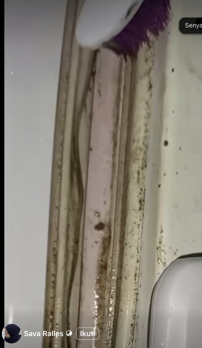 Jangan biarkan kulkas boros listrik! Cek karet kulkas dan bersihkan dengan cara ini