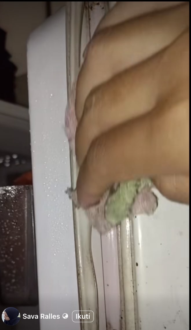 Jangan biarkan kulkas boros listrik! Cek karet kulkas dan bersihkan dengan cara ini