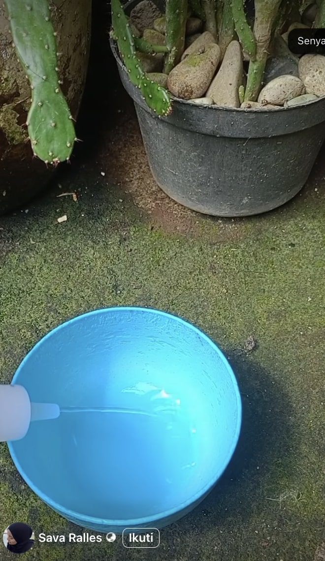 Jangan biarkan kulkas boros listrik! Cek karet kulkas dan bersihkan dengan cara ini