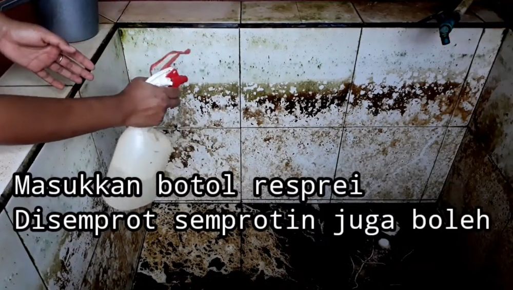 Cara ampuh bersihkan lumut di bak kamar mandi pakai bahan dapur, tak usah capek gosok