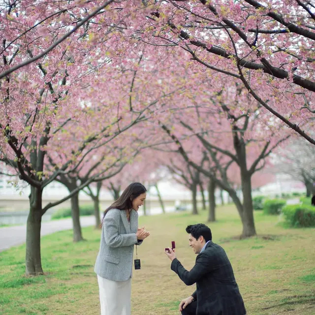 Romantis! Momen Luna Maya dilamar Maxime Bouttier di bawah sakura mekar