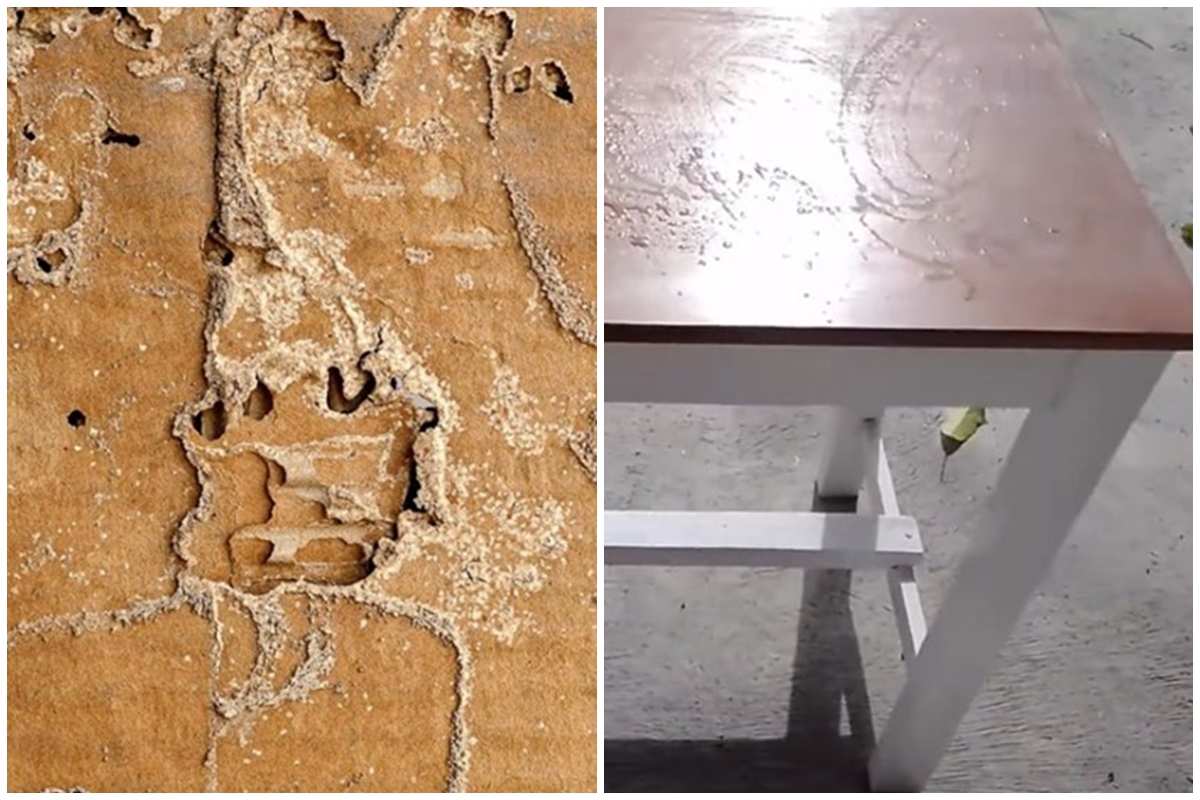 Trik usir rayap agar bersih tuntas di pintu dan meja kayu, cepat pakai 2 bahan dapur