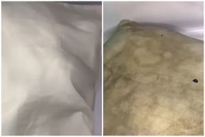 Trik pemilik laundry bersihkan bantal kusam ini tanpa diolesi sitrun, ampuh cuma tambah 1 bahan dapur