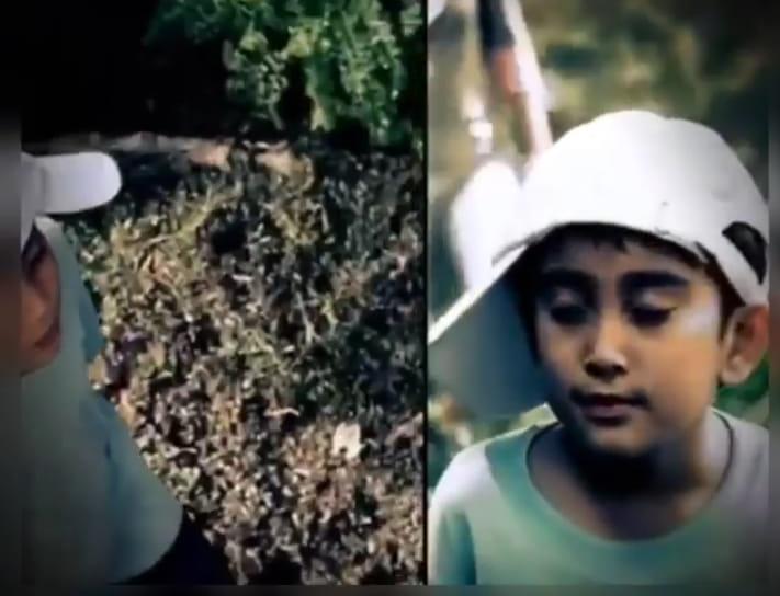 Bintang iklan cilik deterjen ini kini jadi aktor top hobi gonta-ganti gaya rambut, intip 11 potretnya