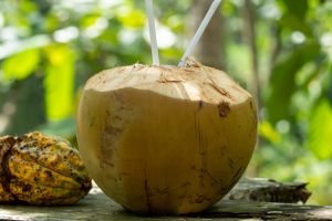 4 Cara menikmati air kelapa untuk turunkan berat badan, nggak perlu ribet