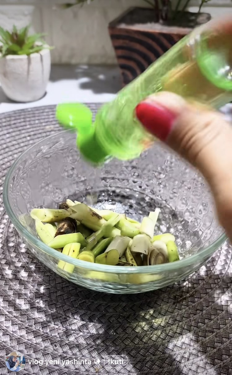 Cara tepat usir nyamuk pakai serai agar keluarga terlindungi, jangan asal iris