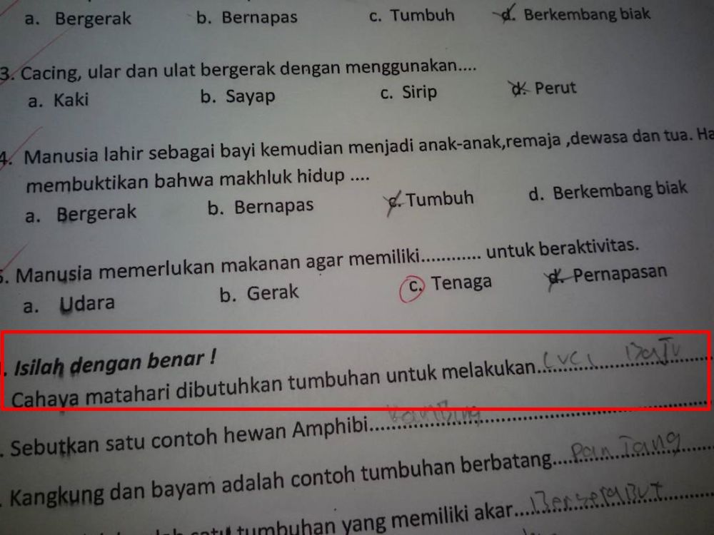 11 Jawaban lucu soal esai di lembar kerja siswa ini isinya bikin guru geleng kepala