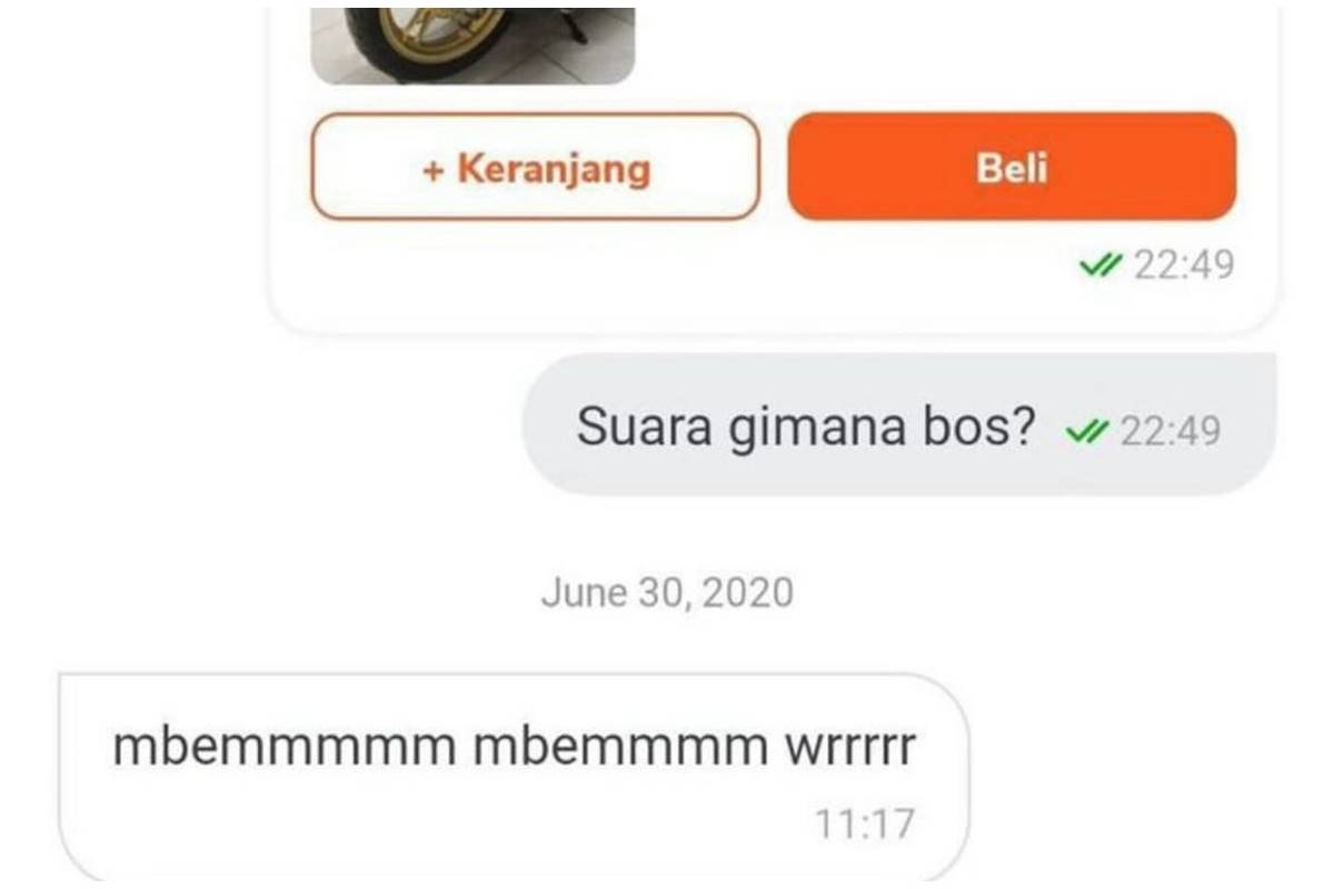 13 Jawaban nyeleneh penjual online shop di chat ini endingnya bikin kesal, auto bintang 1