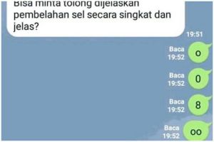 Benar atau salah urusan belakangan, 11 jawaban lucu orang saat ditanya soal pelajaran ini asal banget