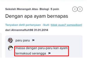 11 Jawaban kocak dari pertanyaan di Brainly ini isinya random abis, definisi ngetik dulu baru mikir