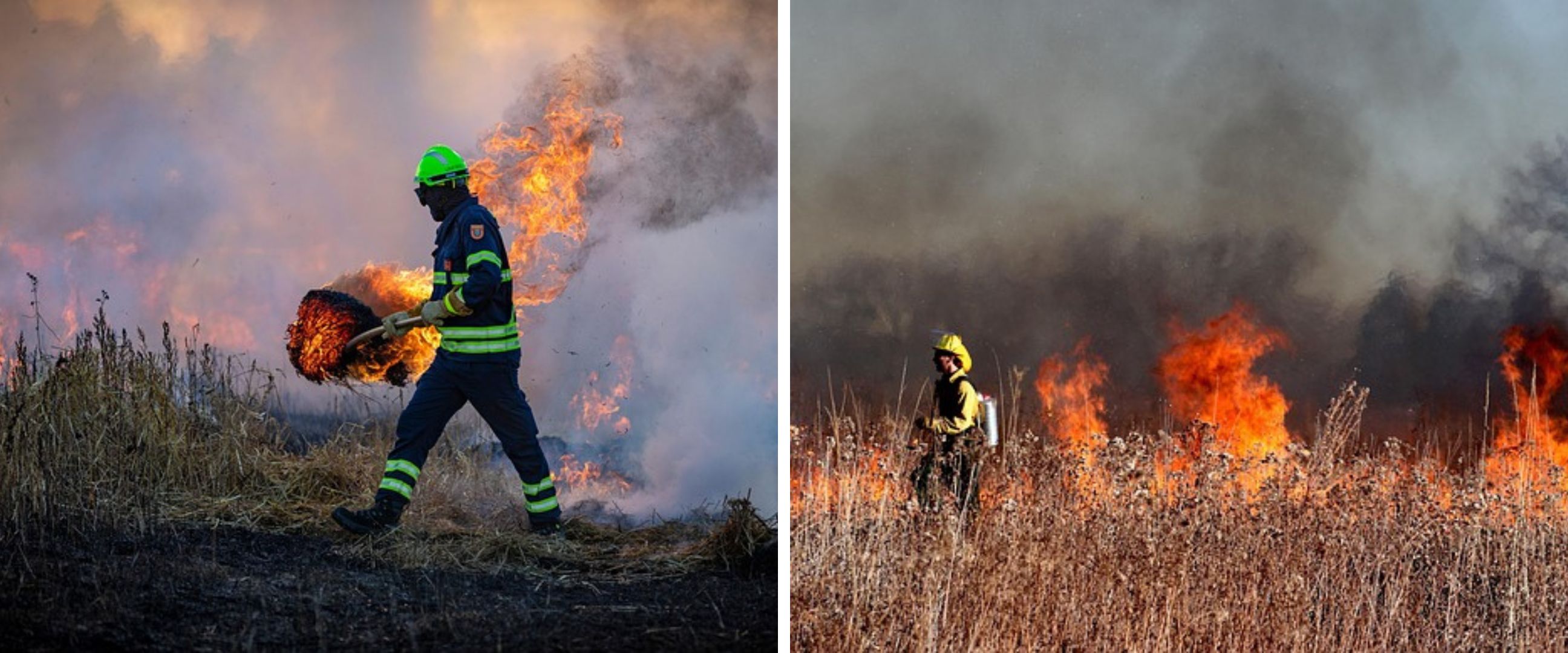 Sugianto dan dua WNI yang selamatkan lansia dari kebakaran hutan di Korea Selatan diberi Visa F-2