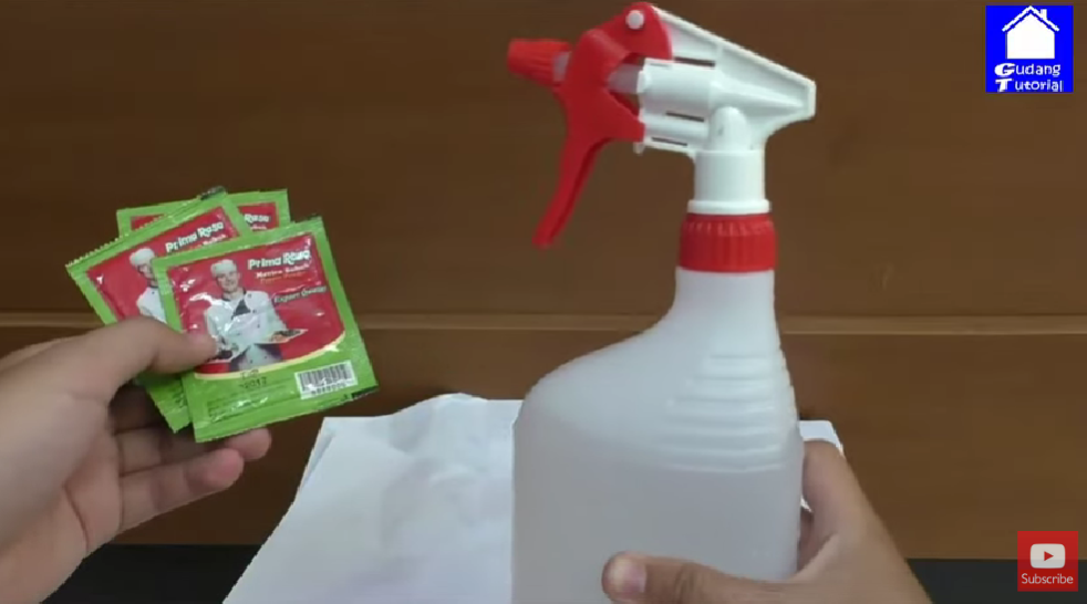 Trik aman mengusir tokek dari rumah pakai 1 bumbu masak, aman tak perlu ditangkap dan tidak menggigit