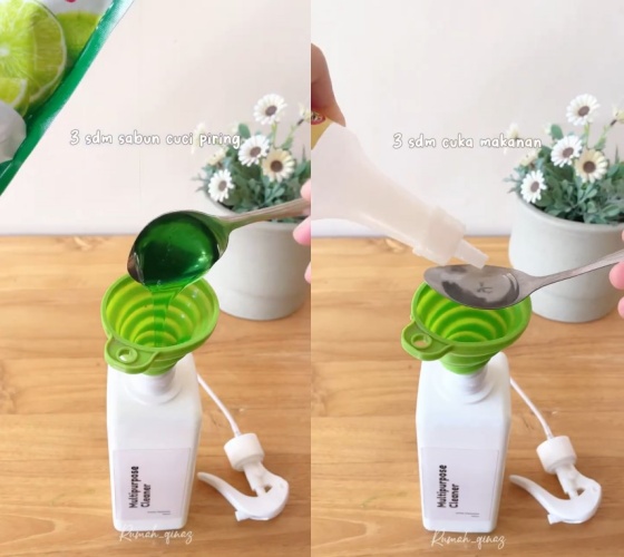 Tak perlu sulit bikin perangkap, ini trik ampuh usir cicak di rumah pakai 2 bahan dapur
