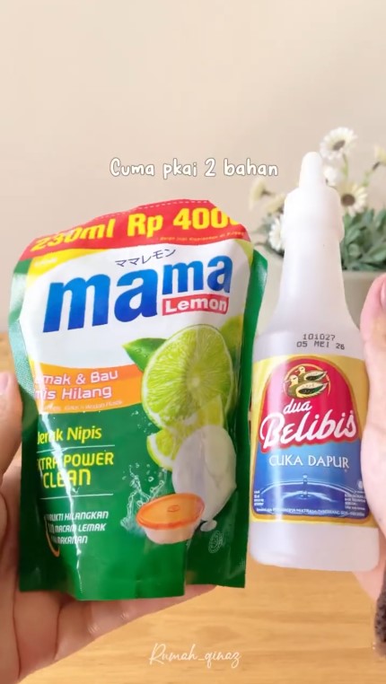 Tak perlu sulit bikin perangkap, ini trik ampuh usir cicak di rumah pakai 2 bahan dapur