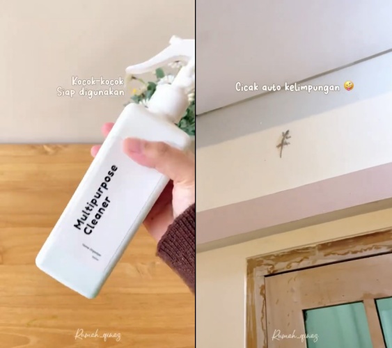 Tak perlu sulit bikin perangkap, ini trik ampuh usir cicak di rumah pakai 2 bahan dapur