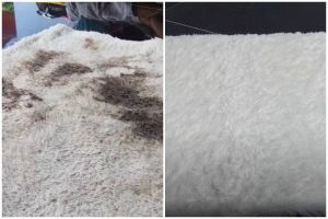 Tak keluar ongkos mahal, ini cara cuci karpet bulu dekil jadi putih pakai 1 tambahan penguat rasa