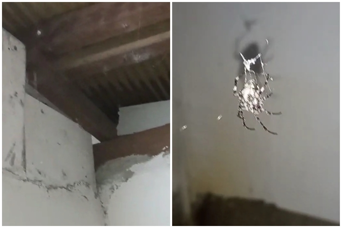 Baru tahu! Ternyata trk mengusir laba-laba dan mencegahnya bersarang lagi bukan pakai sapu