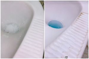 Membersihkan kerak kloset tak perlu disikat kuat, lakukan trik ini mulai dari sekarang agar kesat lagi