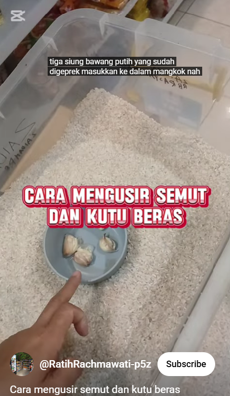 Nggak nyangka, ternyata begini trik mengusir semut dan kutu di beras pakai 1 bumbu dapur