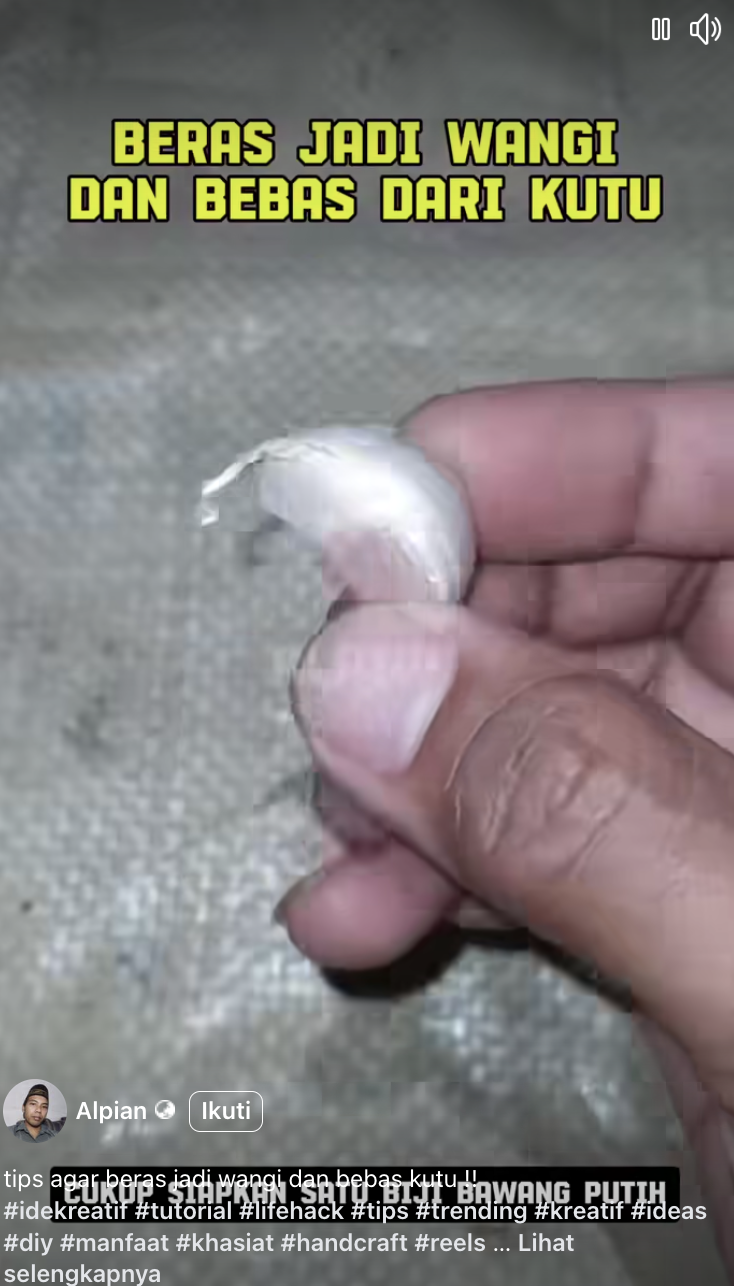 Cara simpan beras agar wangi dan bebas kutu pakai 2 bahan dapur, rahasia nenek relevan sampai kini