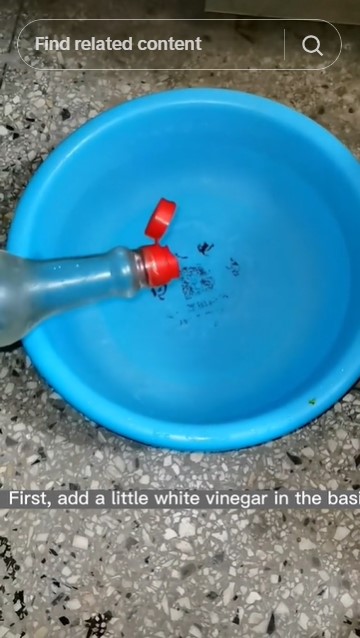 Trik hilangkan noda jamur karet pintu kulkas di 2025 tak perlu pasta gigi, coba 3 bahan dapur ini