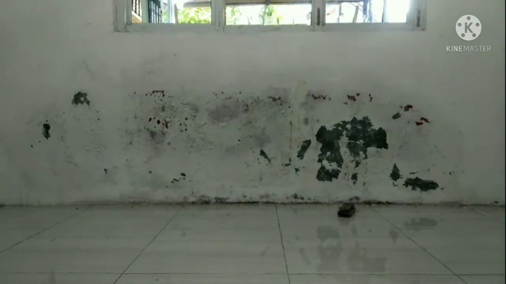 Tanpa pakai cairan keras, ini trik gampang hilangkan jamur di dinding cuma pakai 1 bahan dapur