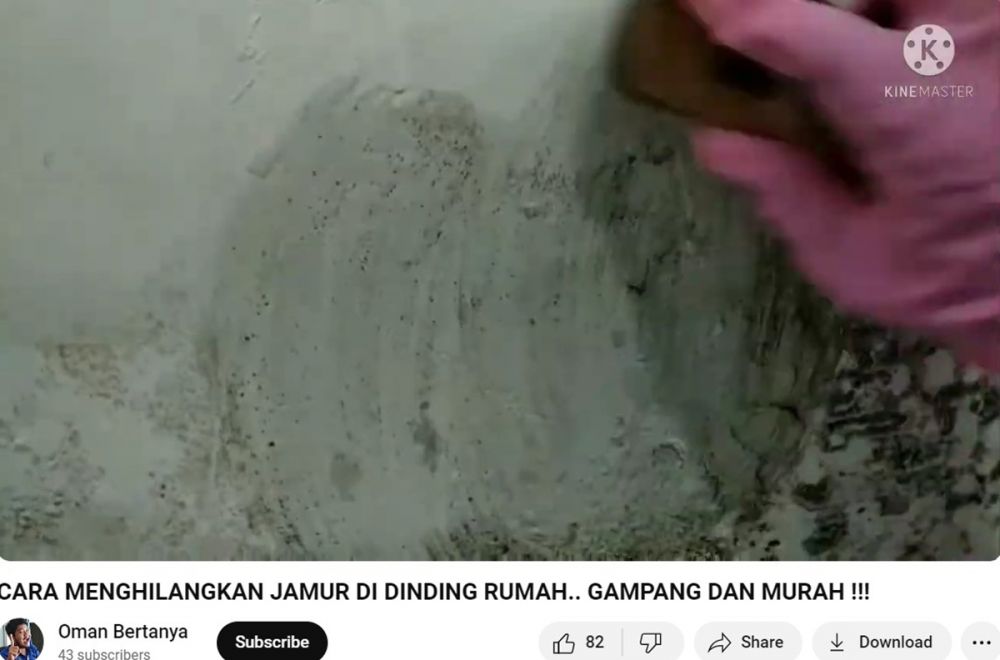Tanpa pakai cairan keras, ini trik gampang hilangkan jamur di dinding cuma pakai 1 bahan dapur