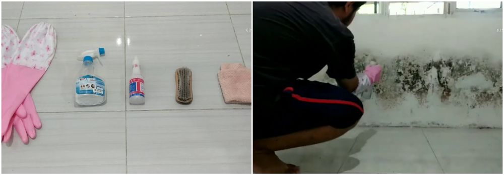 Tanpa pakai cairan keras, ini trik gampang hilangkan jamur di dinding cuma pakai 1 bahan dapur