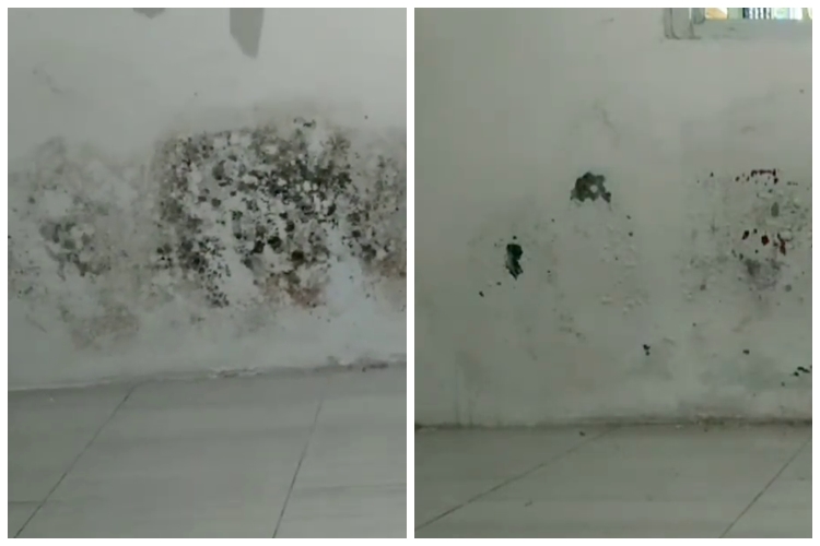 Tanpa pakai cairan keras, ini trik gampang hilangkan jamur di dinding cuma pakai 1 bahan dapur