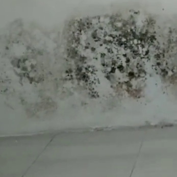 Tanpa pakai cairan keras, ini trik gampang hilangkan jamur di dinding cuma pakai 1 bahan dapur