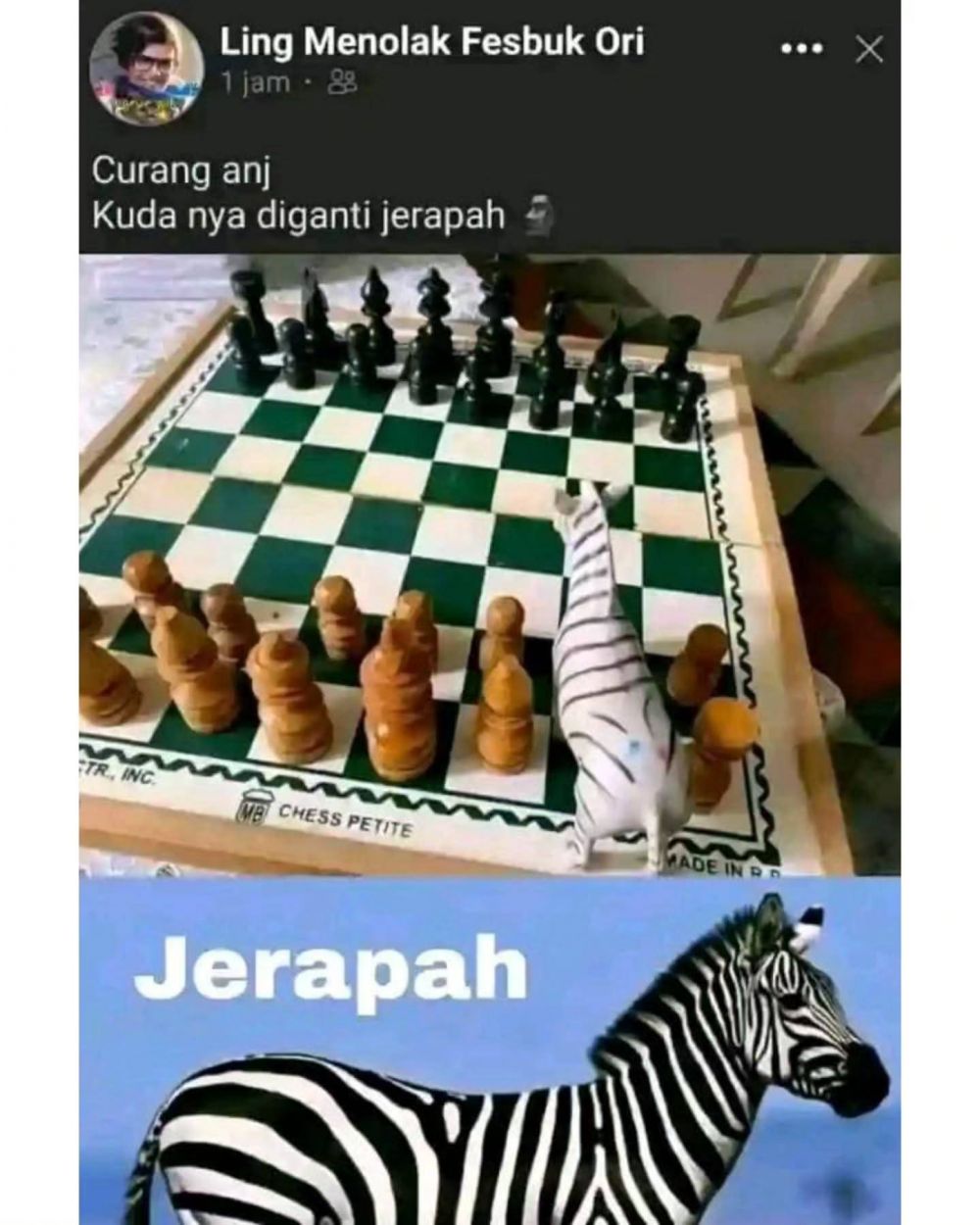 11 Potret lucu orang main catur ini aksinya kelewat nyeleneh, Magnus Carlsen geleng kepala melihatnya