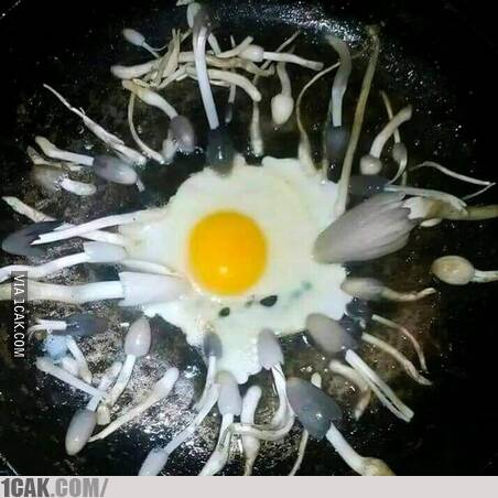 10 Potret lucu campuran telur goreng ini bikin nafsu makan auto hilang, absrud dan antimainstream