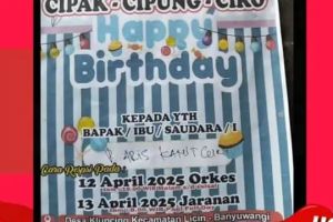 Viral pasutri di Banyuwangi rayakan pesta ulang tahun 3 kucing peliharaannya, digelar sampai 2 hari