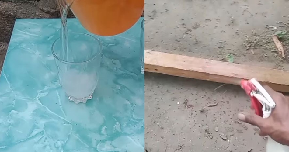 Selamatkan pintu kayu dan perabot barumu dari rayap, ini trik mengusirnya cuma andalkan 2 bahan dapur