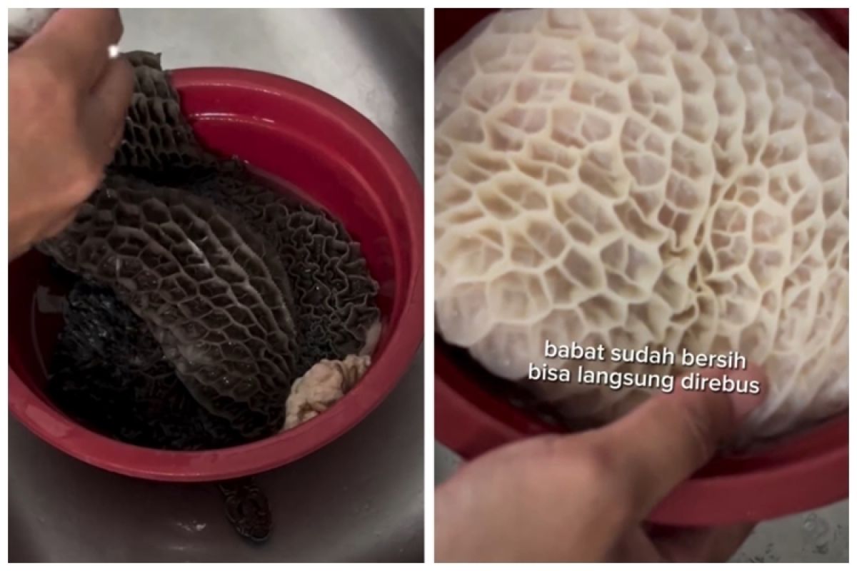 The secret to cleaning beef tripe in minutes, clean white without a ...