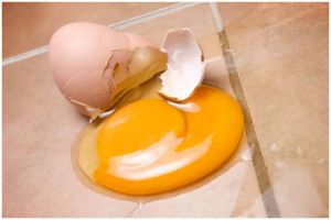 Jangan pakai kain lap, ini cara mudah bersihkan pecahan telur di keramik agar tak amis dan licin