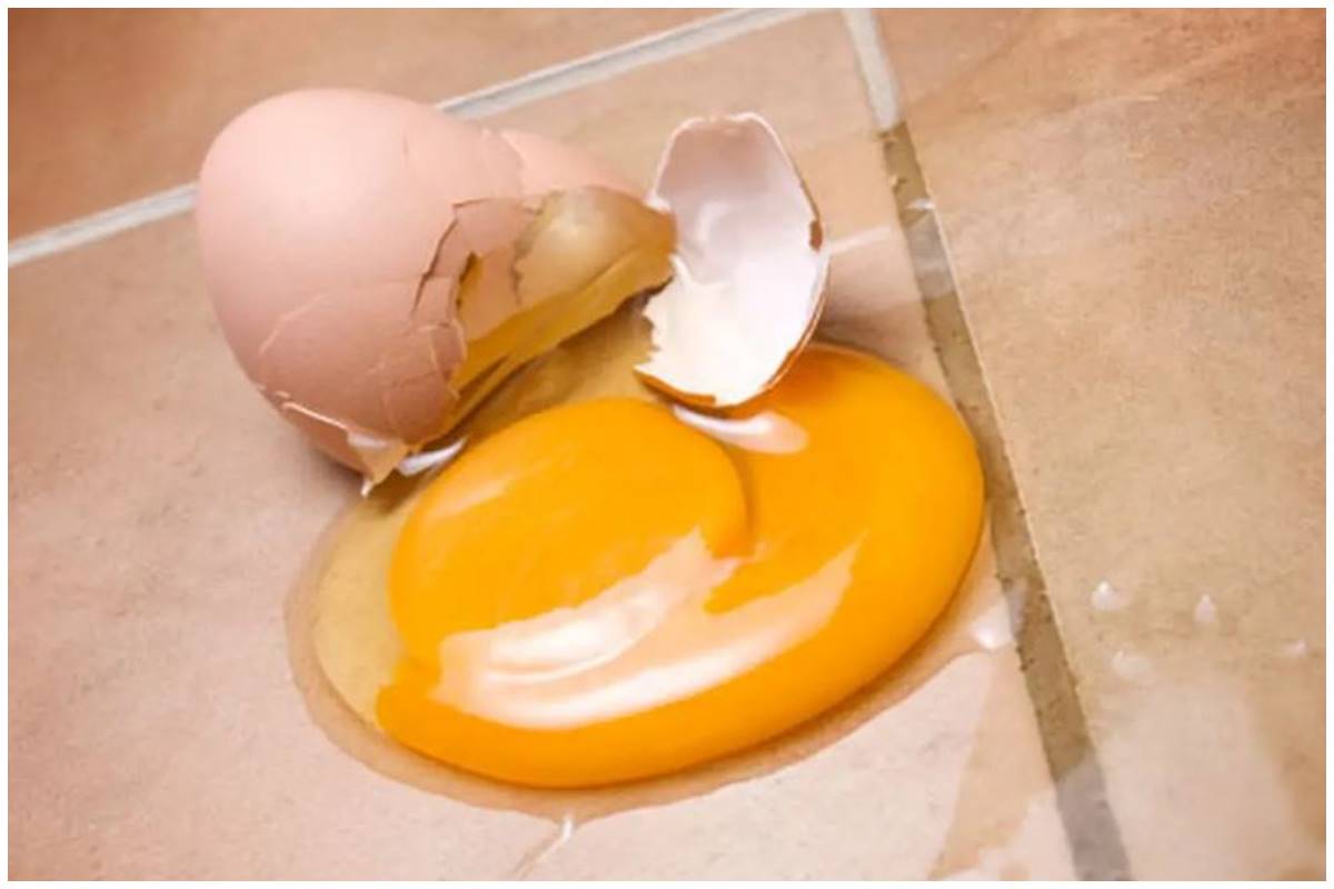 Jangan pakai kain lap, ini cara mudah bersihkan pecahan telur di keramik agar tak amis dan licin