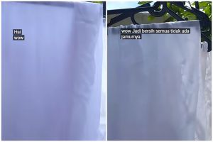 Trik membersihkan jamur di pakaian sekarang tanpa sabun biasa, pakai 2 bahan dapur
