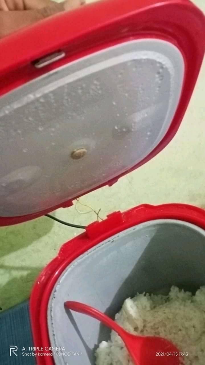 11 Potret kocak masak nasi di rice cooker ini penampakannya bisa bikin emak marah
