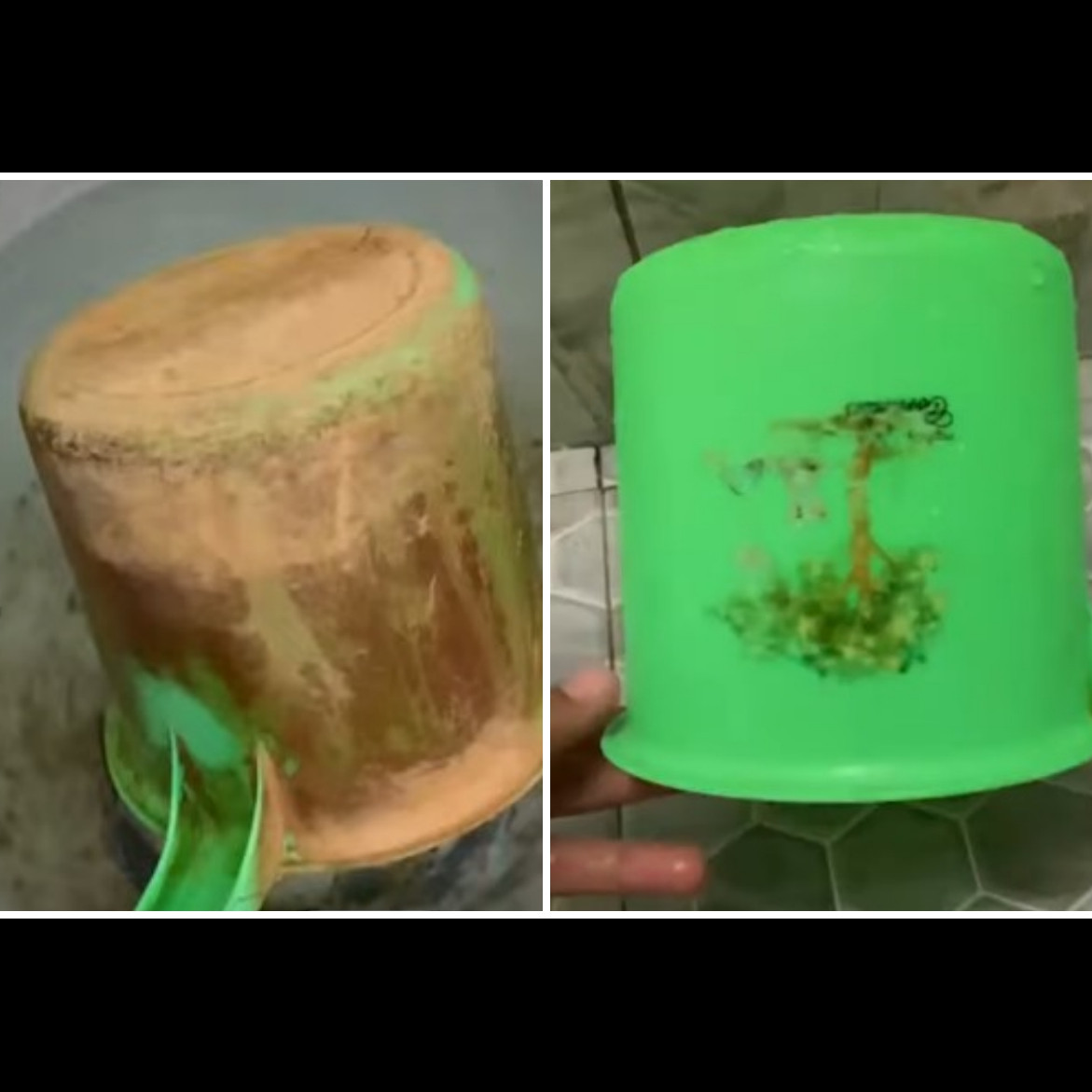 Gayung buluk berkerak sekarang jadi kinclong lagi, ternyata triknya cuma modal Rp 3 ribu