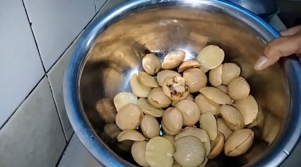 Kapan kamu tahu? Merebus jengkol 10 menit bisa bikin empuk dan bebas bau, ini detail triknya