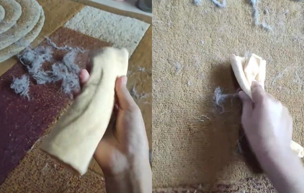 Selain pake roler, ini trik gampang dan aman bersihkan bulu kucing yang menempel di karpet