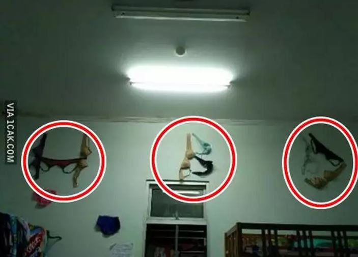 15 Momen lucu kasih surprise ini berujung kocak, aksinya nggak terduga banget