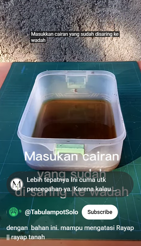 Trik atasi rayap sekarang tak perlu pusing, pakai tambahan 2 bahan dapur sudah pergi dari perabot kayu