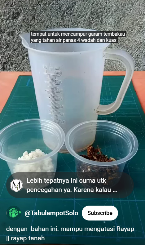 Trik atasi rayap sekarang tak perlu pusing, pakai tambahan 2 bahan dapur sudah pergi dari perabot kayu