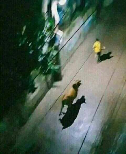 15 Potret kocak momen yang bikin panik ini endingnya mau ketawa tapi kasihan