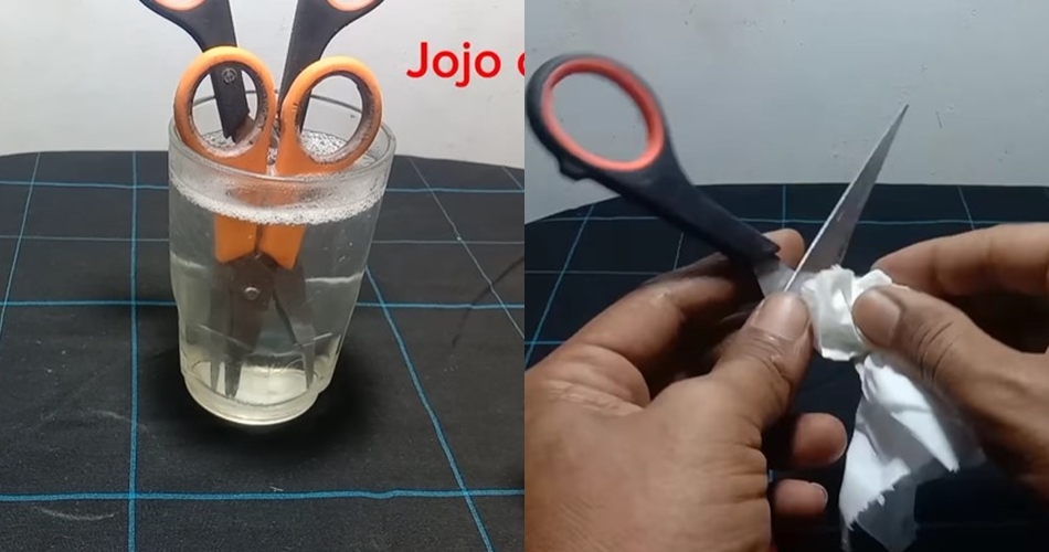 Jangan langsung dibuang, ini cara atasi gunting tumpul jadi tajam pakai 1 alat dan bahan dapur