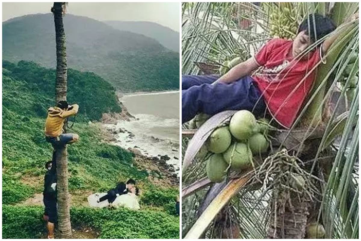 15 Potret kocak orang manjat pohon ini tingkahnya bikin geleng kepala, sulit ketebak aksinya