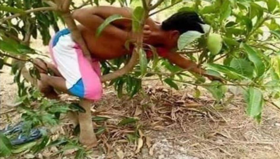 15 Potret kocak orang manjat pohon ini tingkahnya bikin geleng kepala, sulit ketebak aksinya